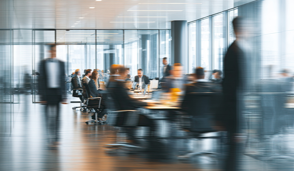 Monzingo Legal Consulting